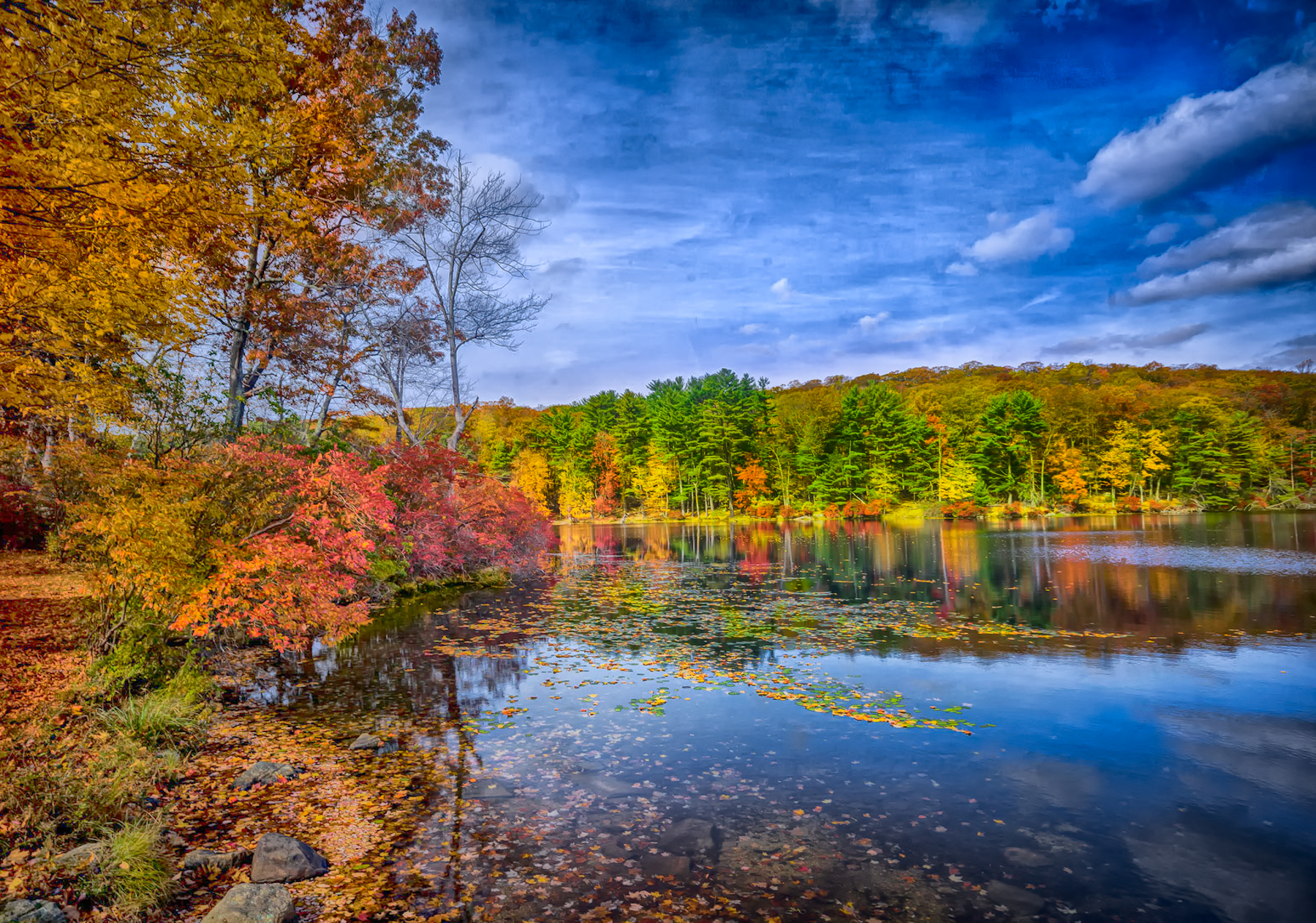 There is no fall in Buckeye